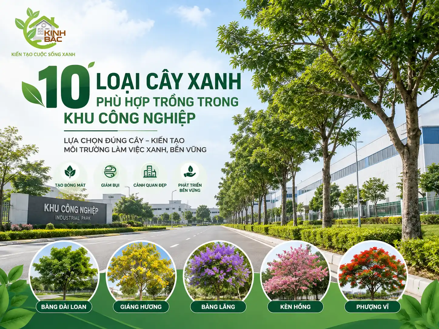10 loại cây xanh phù hợp trồng trong khu công nghiệp